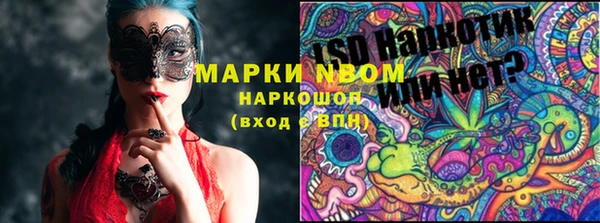 PSILOCYBIN Верхний Тагил