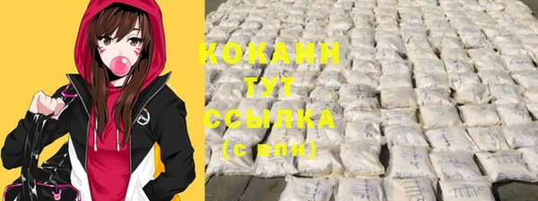 PSILOCYBIN Верхний Тагил