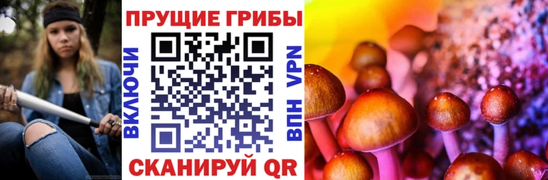Купить где  Красный Холм  Псилоцибиновые грибы Magic Shrooms 